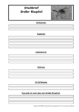Großer-Blaupfeil-Steckbriefvorlage.pdf